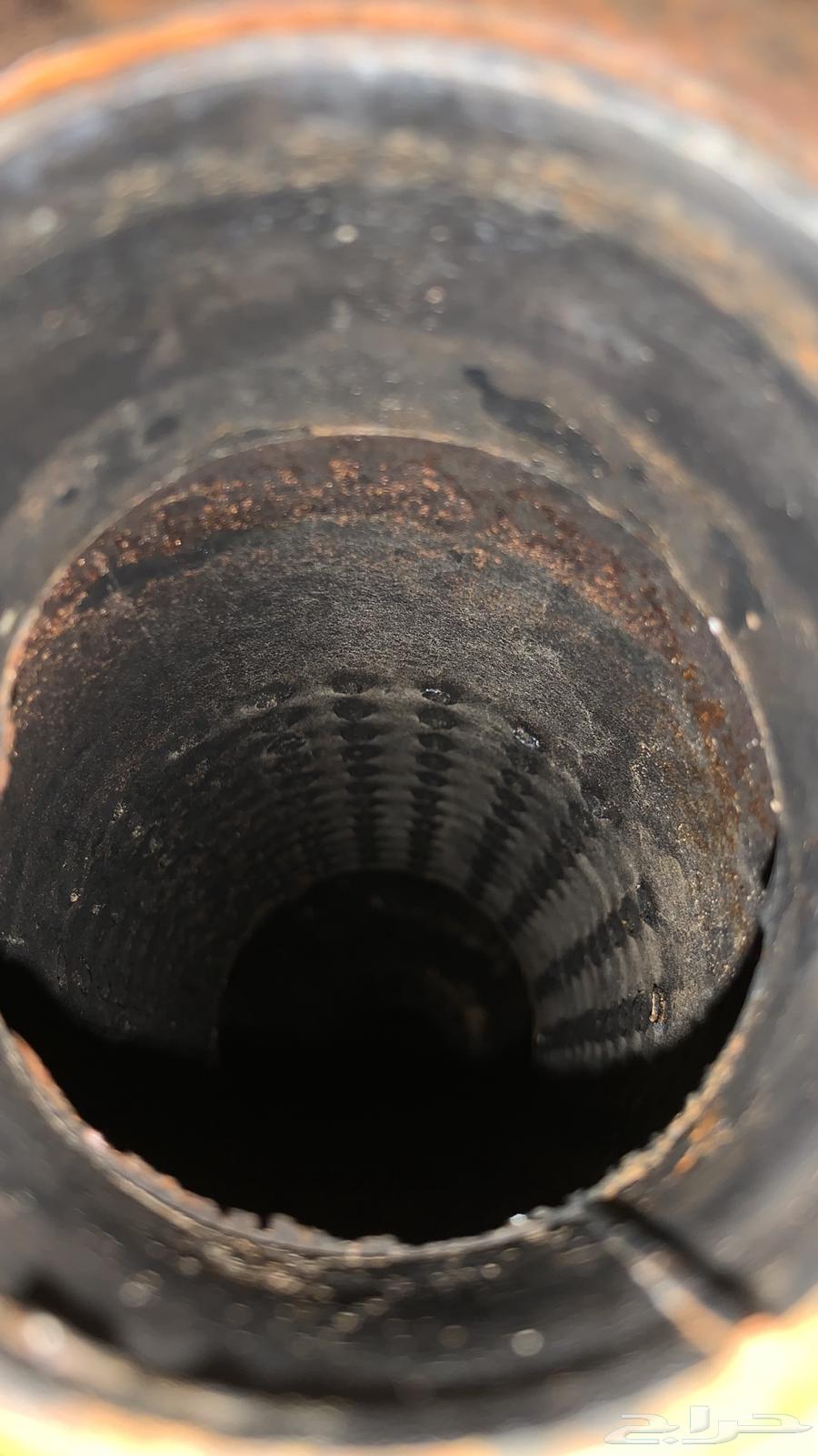 Bear for sale, separable, withstands throwing with a muzzle64357556720641110