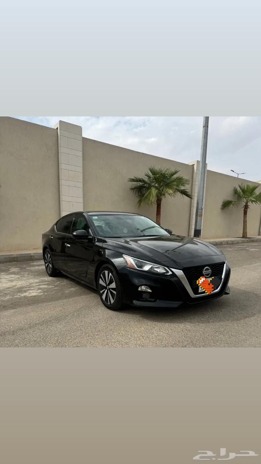 Tayma 2019SV64346265954689114