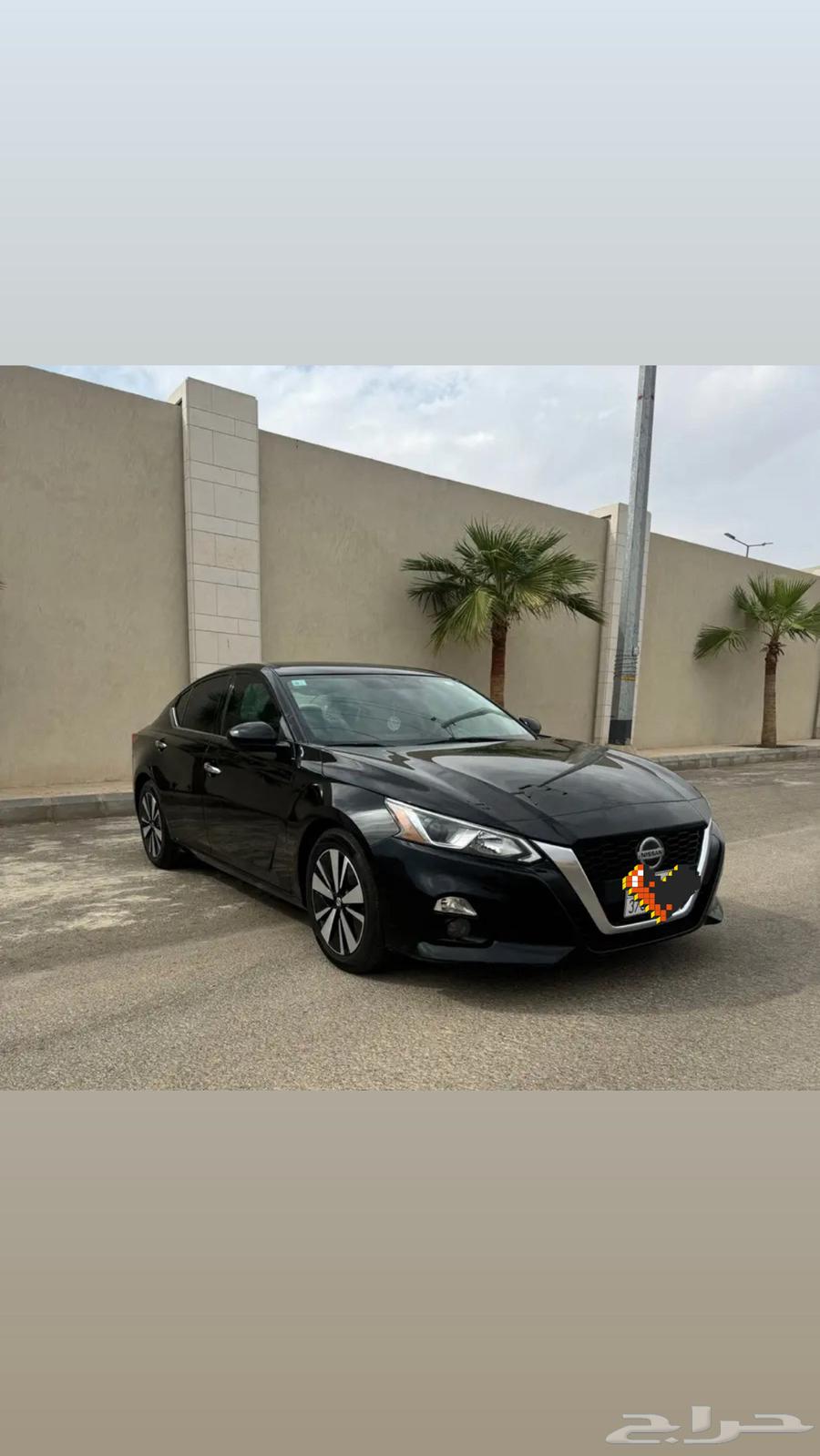 Tayma 2019SV64346265954689111