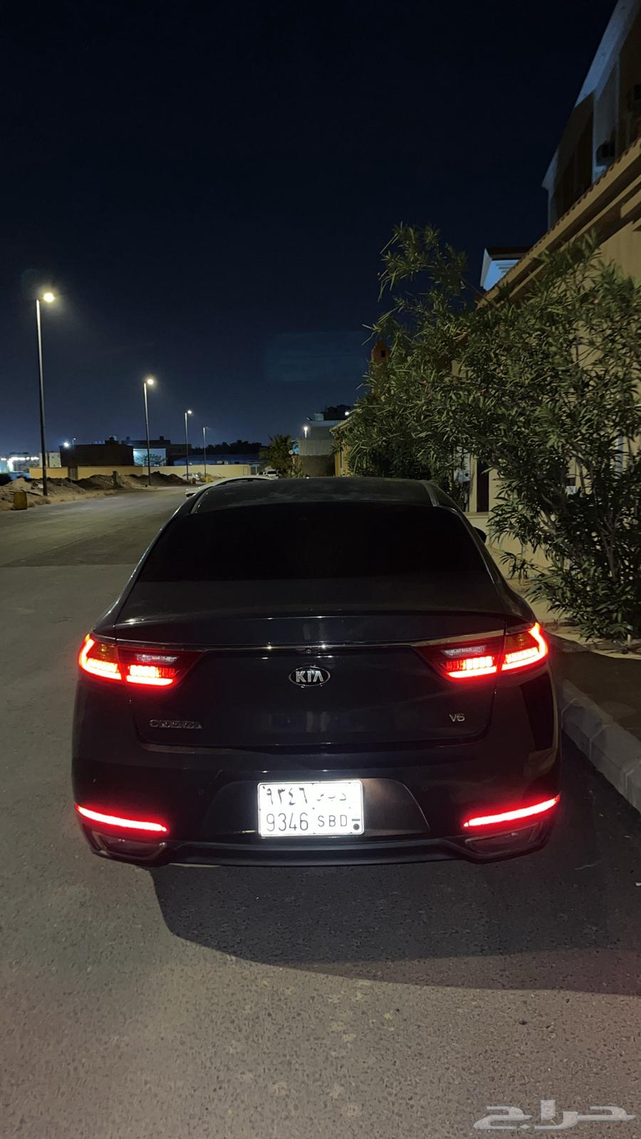 Cadence gray64350232454275111