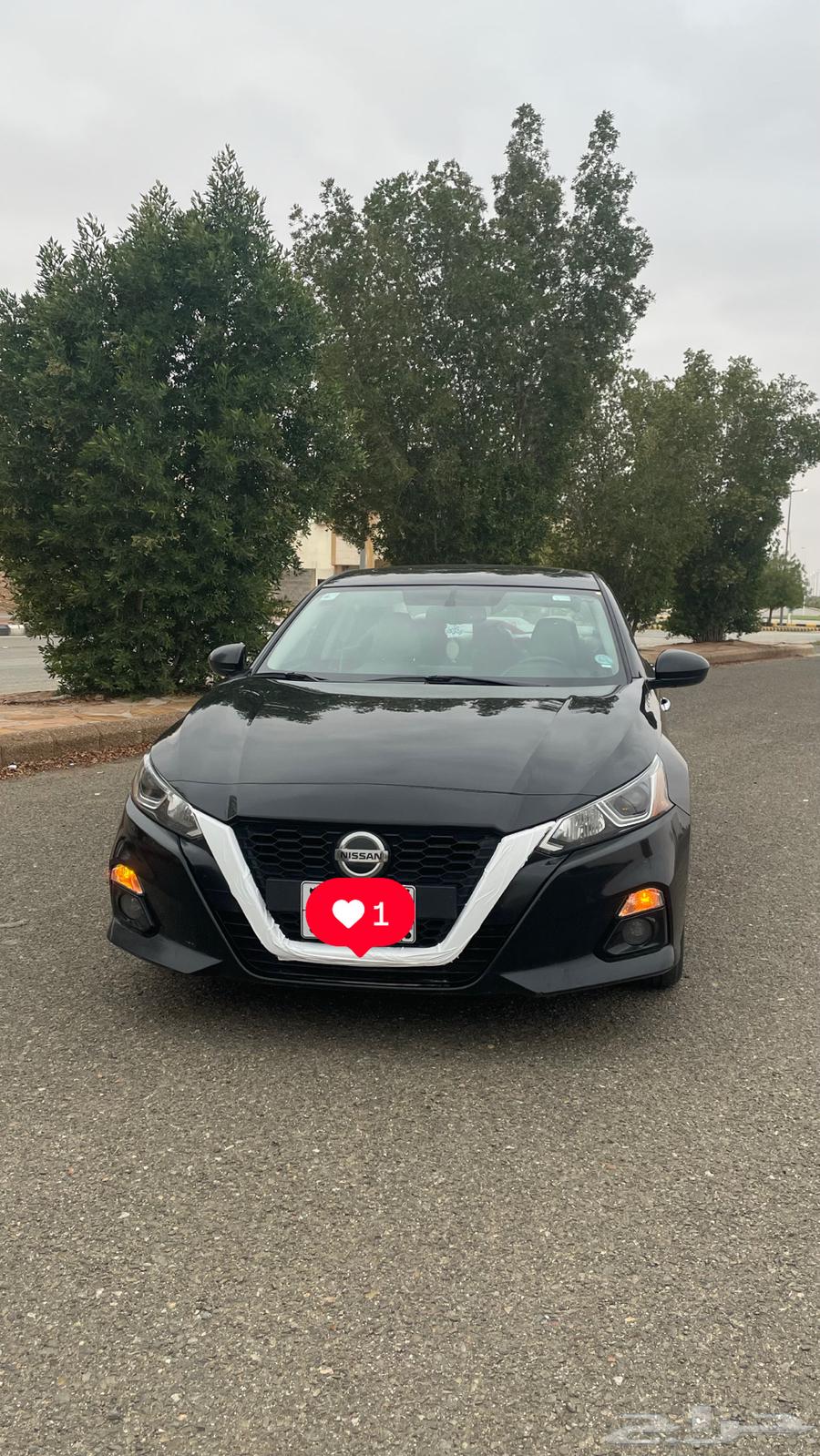 Tayma 2019SV64346265954689113