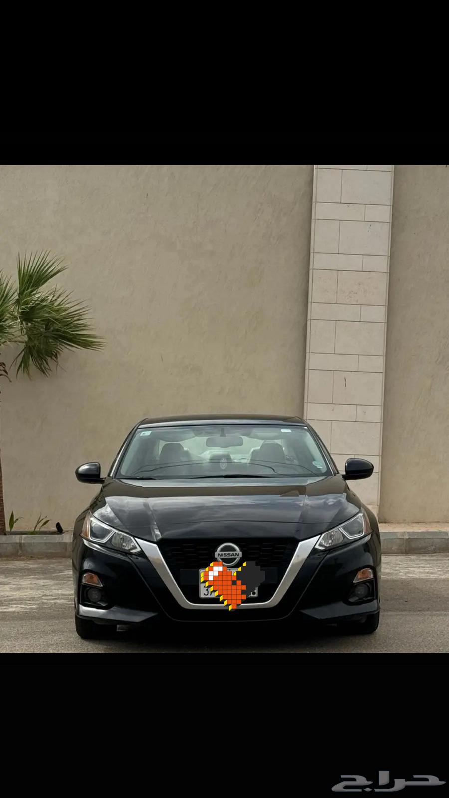 Tayma 2019SV64346265954689110