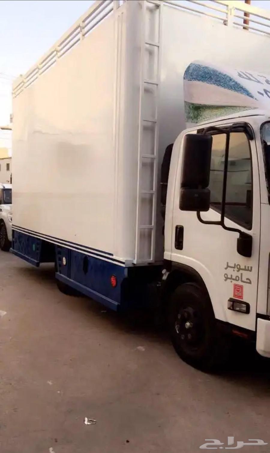 دينا اسيزو موديل 201564358785420163112