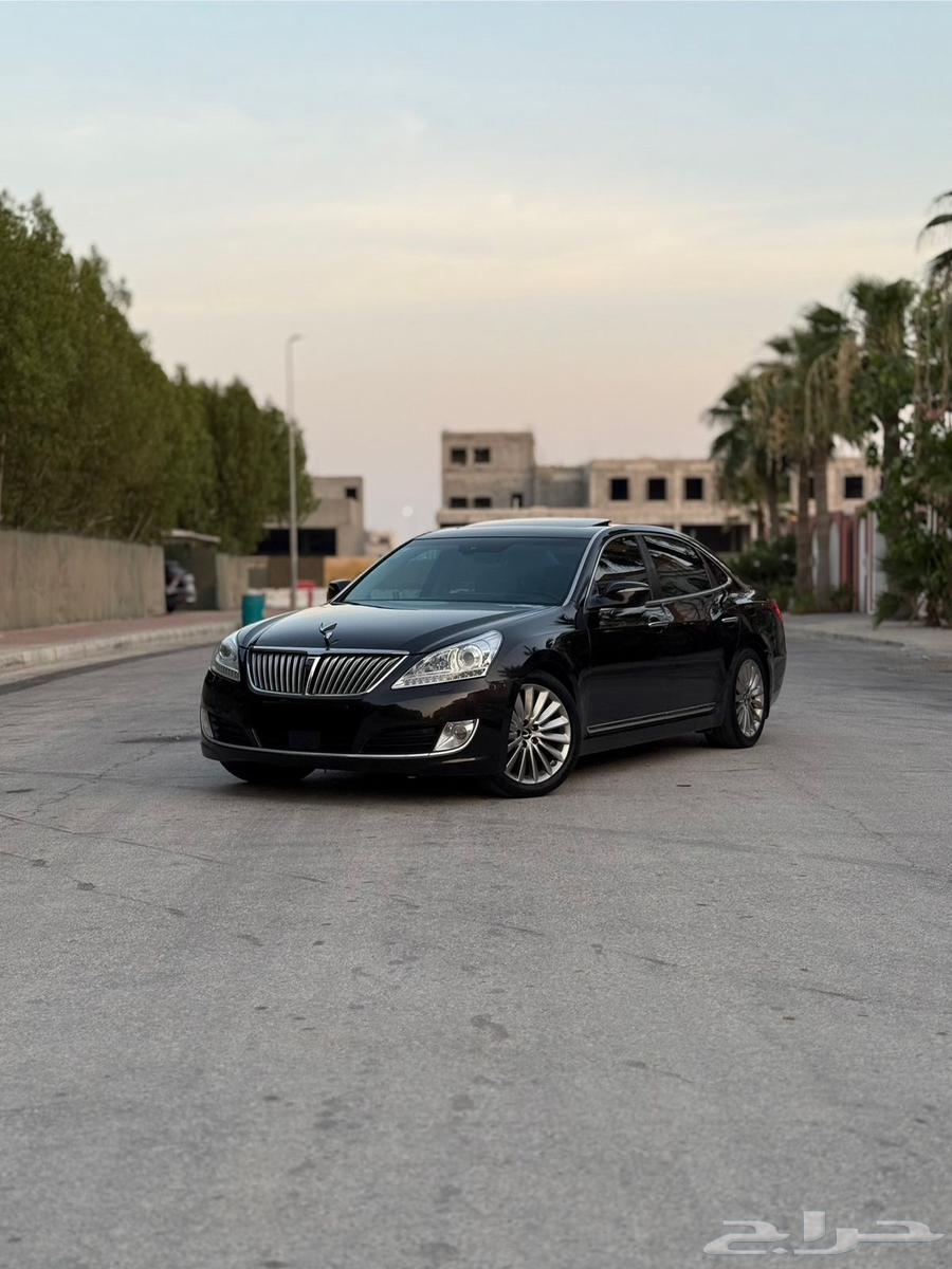 سنتنيال VS500 قمة النظافة ممشى قليل64355669105283113