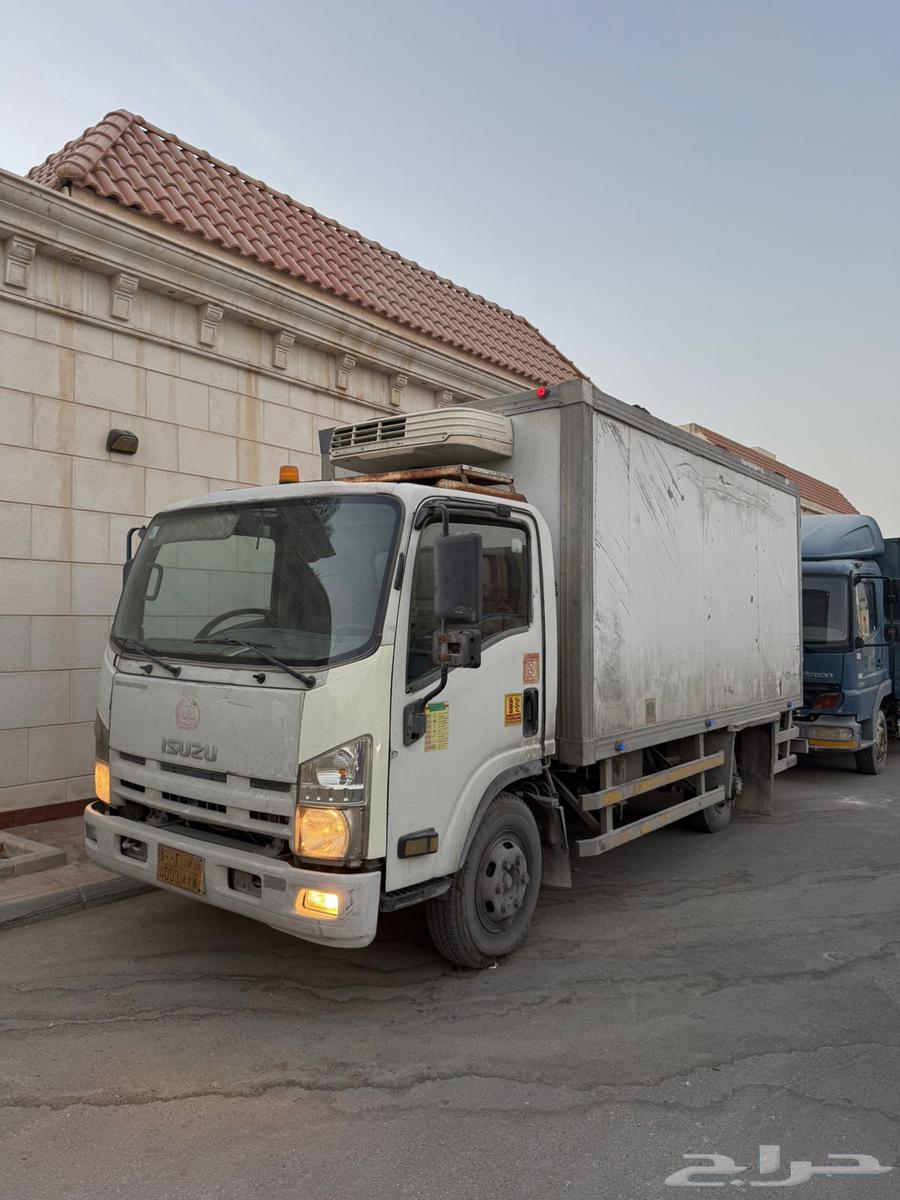 دينا ايسوزو64355391883009111