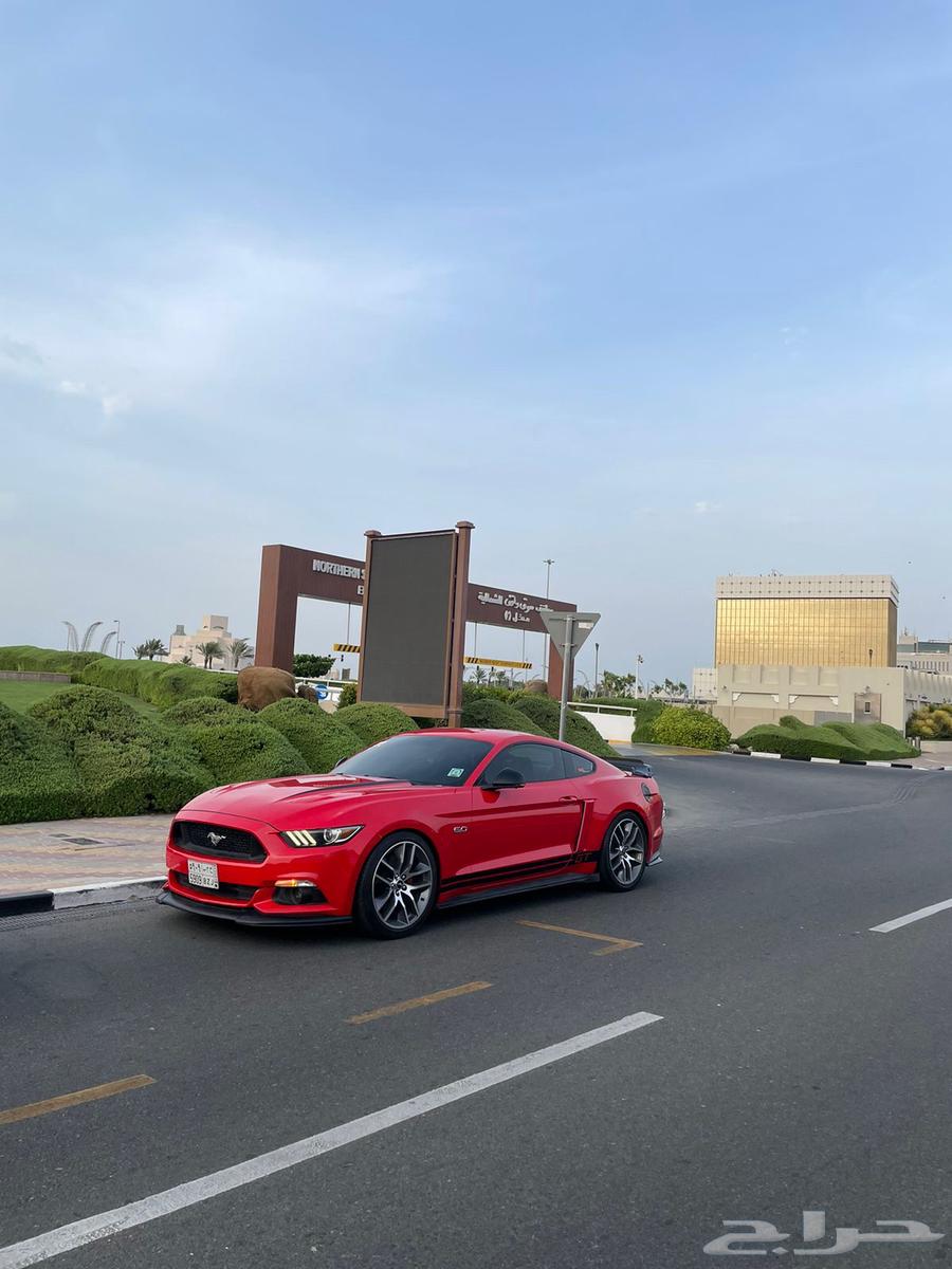 جنوط موستنج اصليه وكالة للبيع64355917312002113