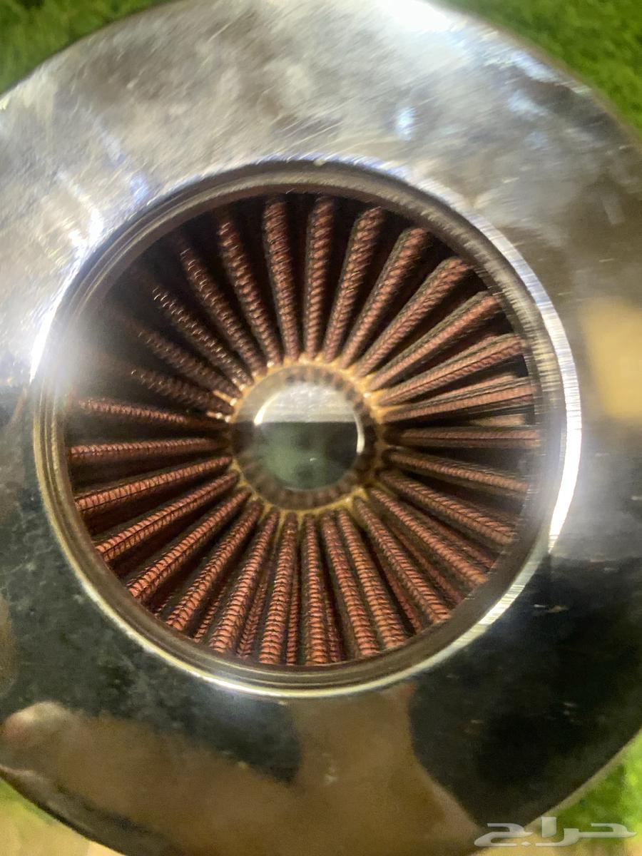 Specter American Filter64358871698434113