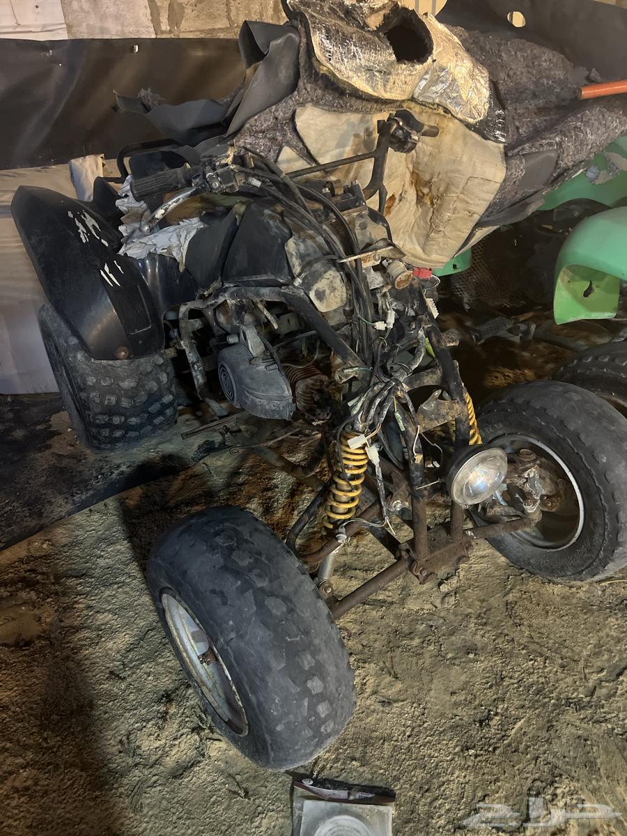 دبابات64351760570243111