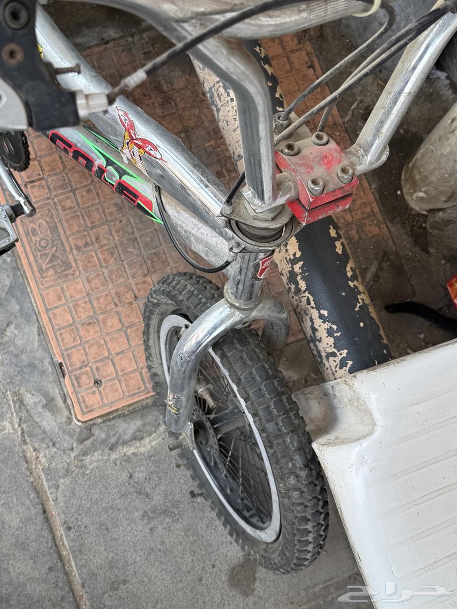 Cobra Nickel Bicycle64099829160066110