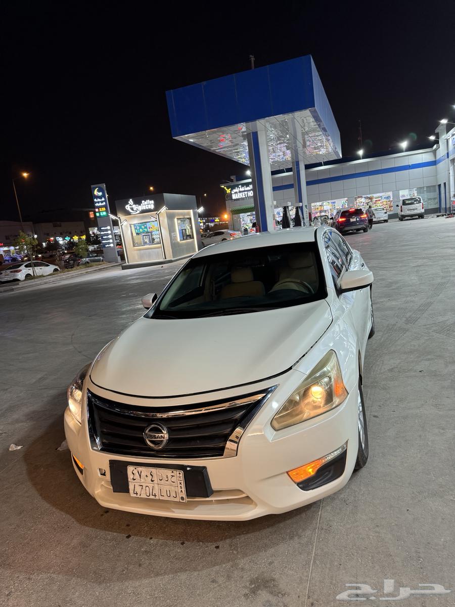 Tayma 2014 New Arrival64357217787777111