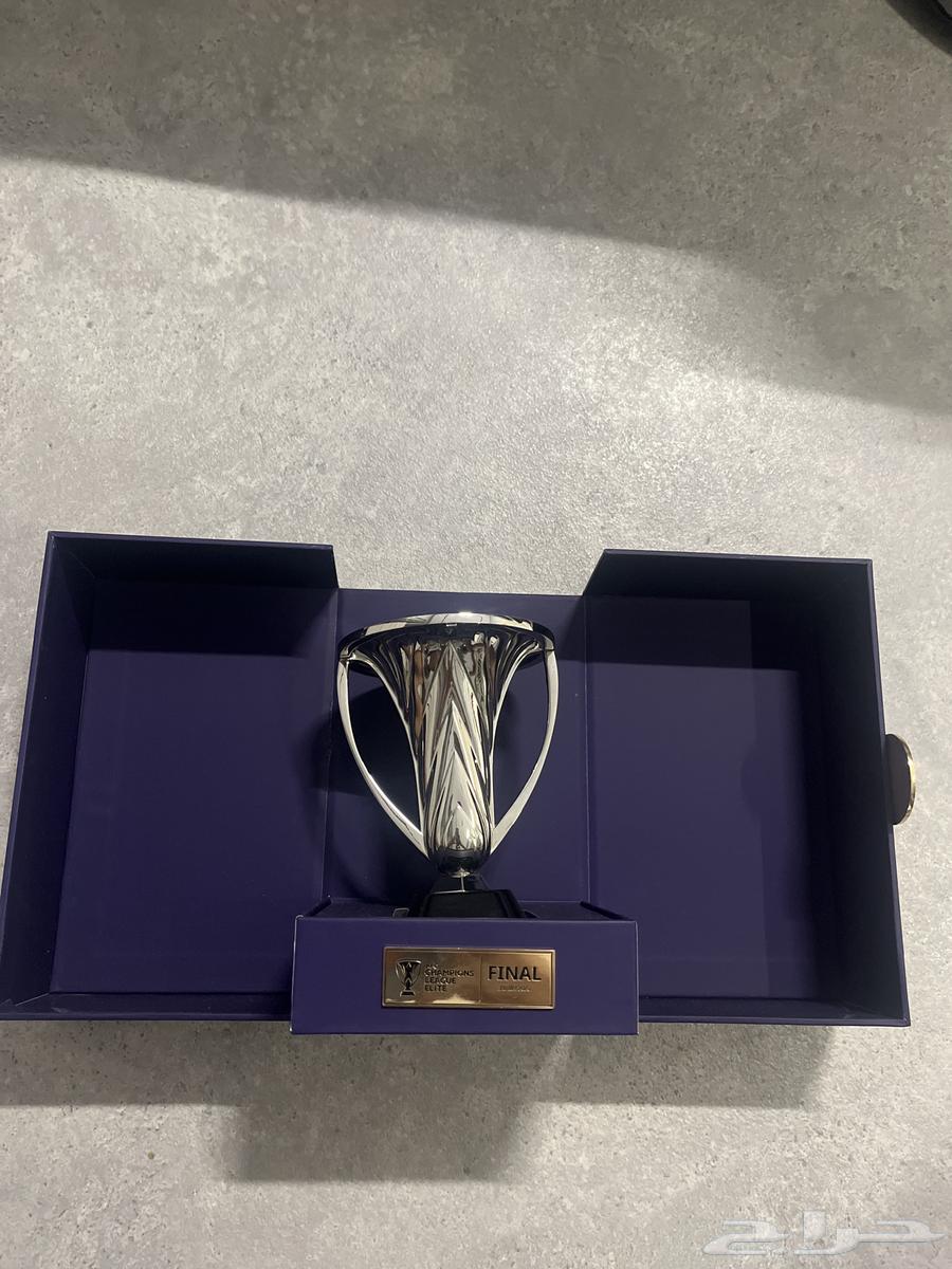 Elite Cup Sculpture with Its Box64114208263810110