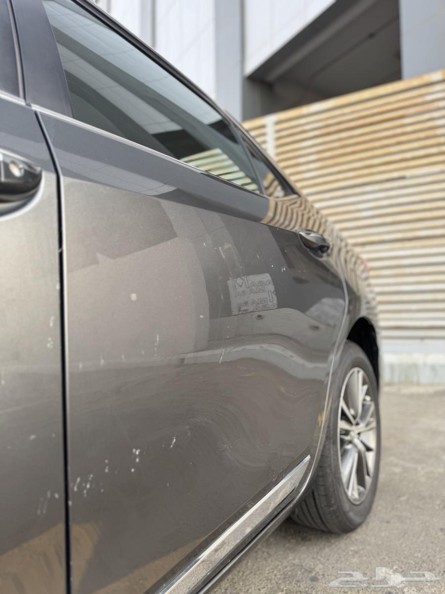 كورلا 2015 ( بودي بلد )64351531808770114