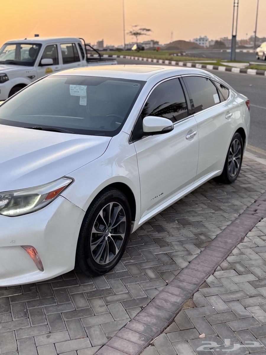 Avalon Turunc 2016 Saudi.64357527003265112