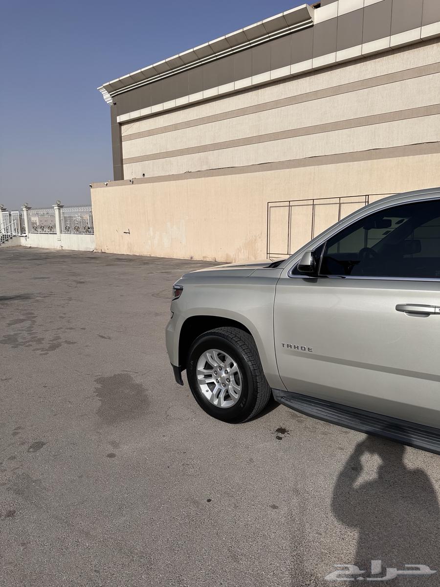 Short LS (Double) Golden Color Taho64351243711105112