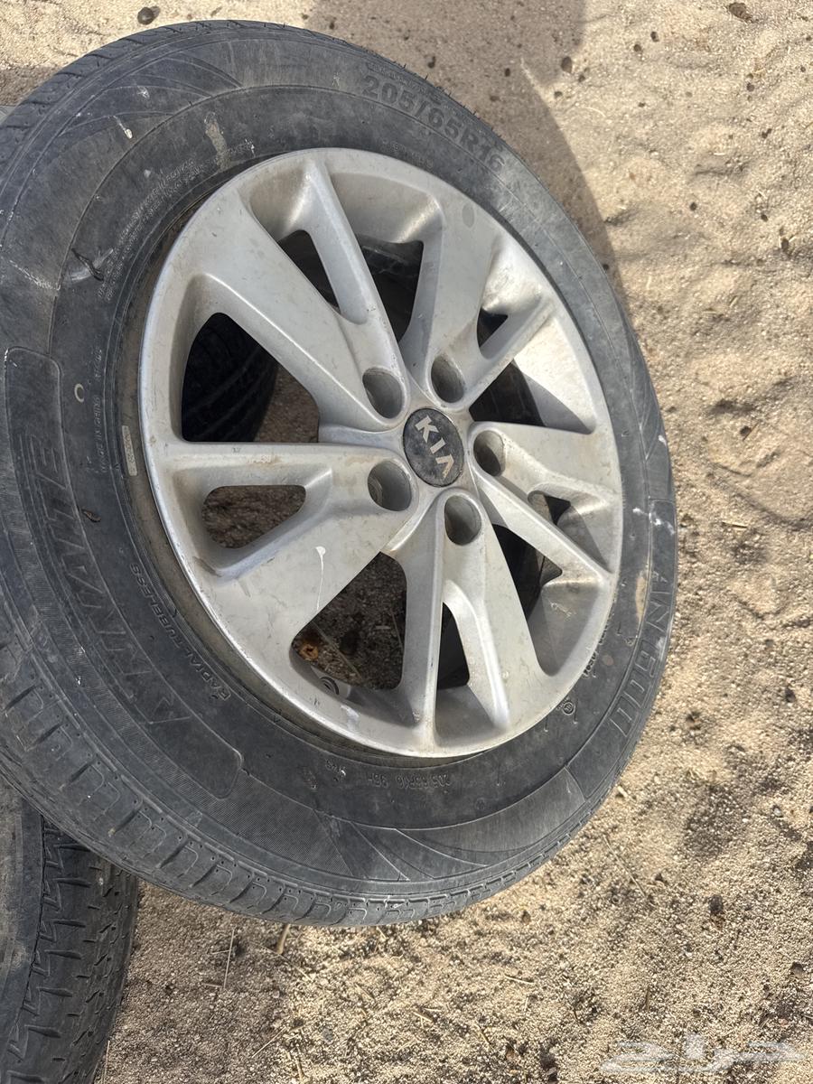 جنوط كيا ابتما64353543526146111