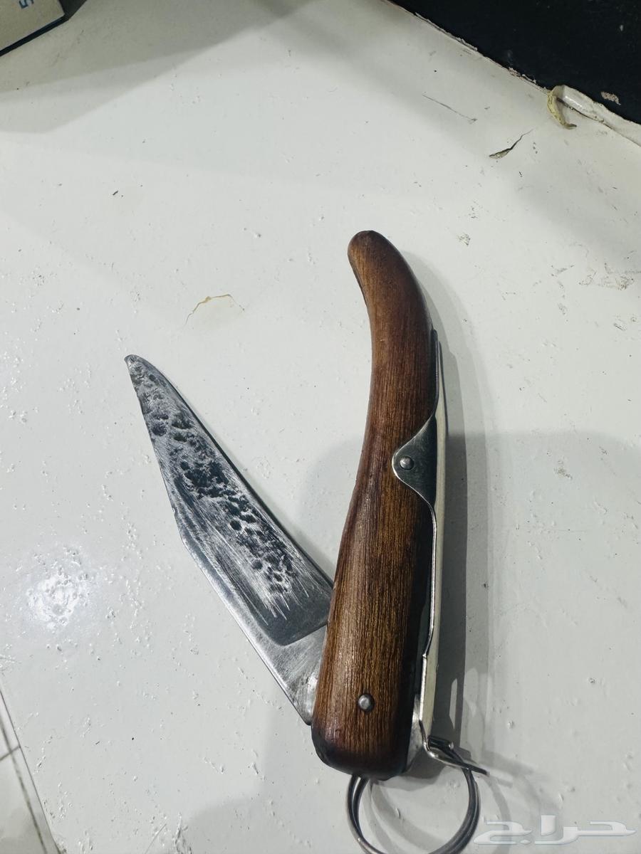 Ancient African Okapi No. 164119840837379111