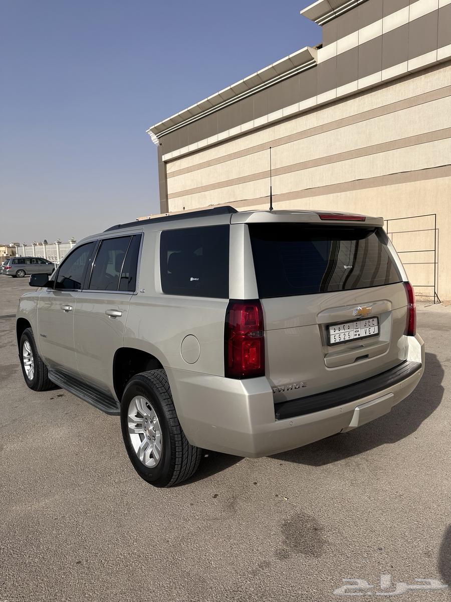 Short LS (Double) Golden Color Taho64351243711105110