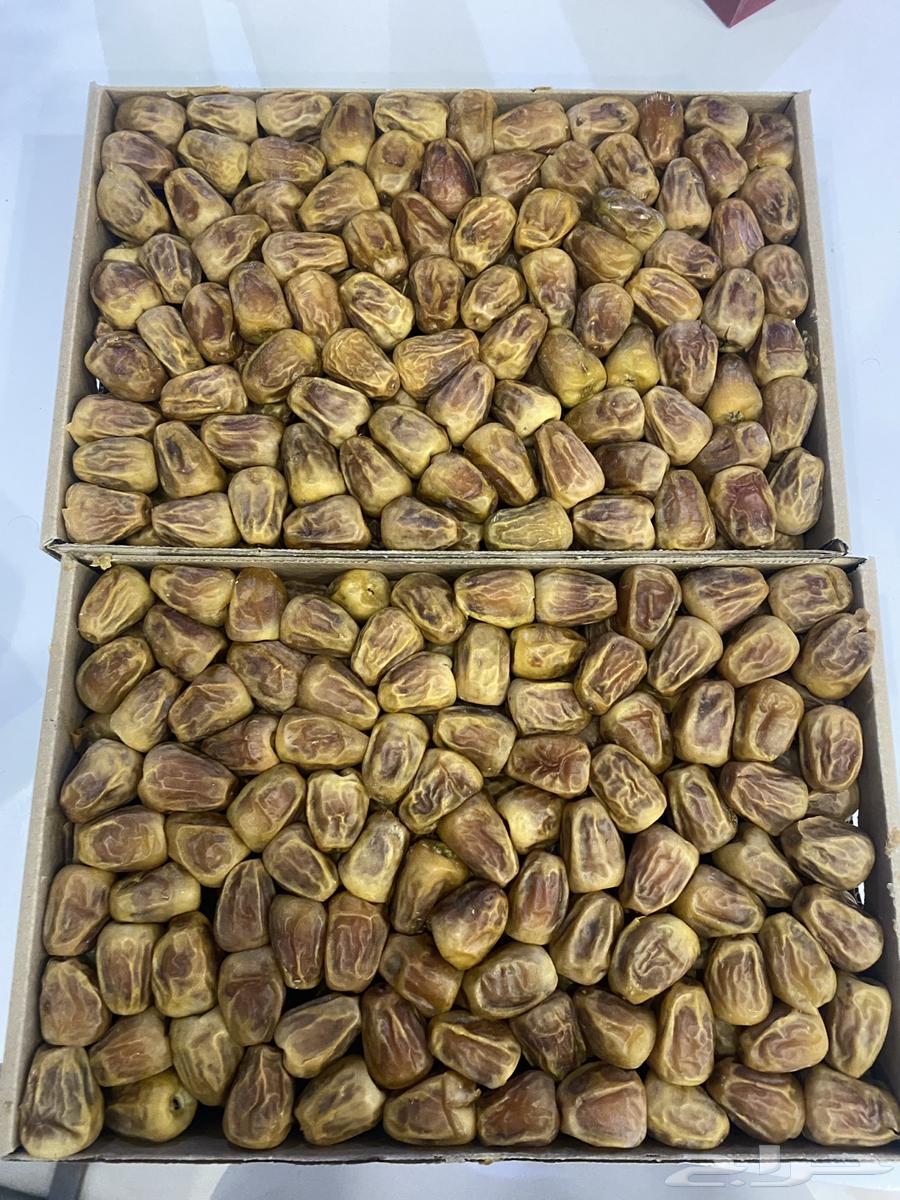 Al-Qassim Dates Delivery to Riyadh64119554116866113