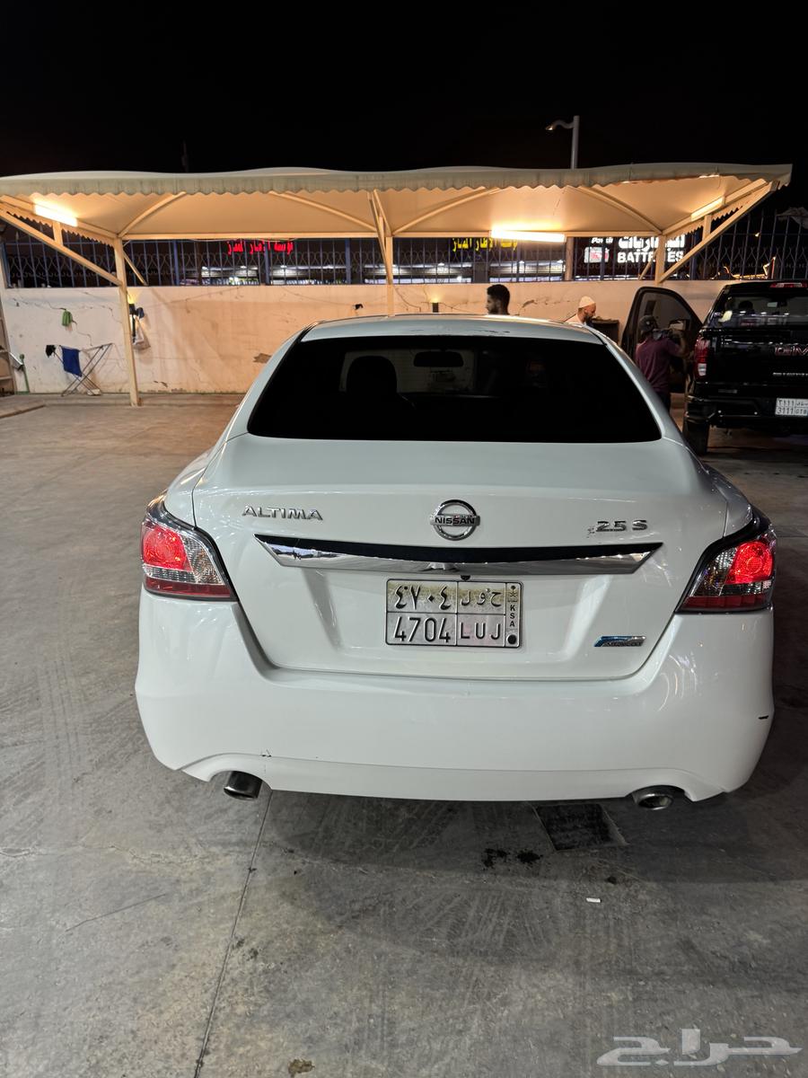 Tayma 2014 New Arrival64357217787777113