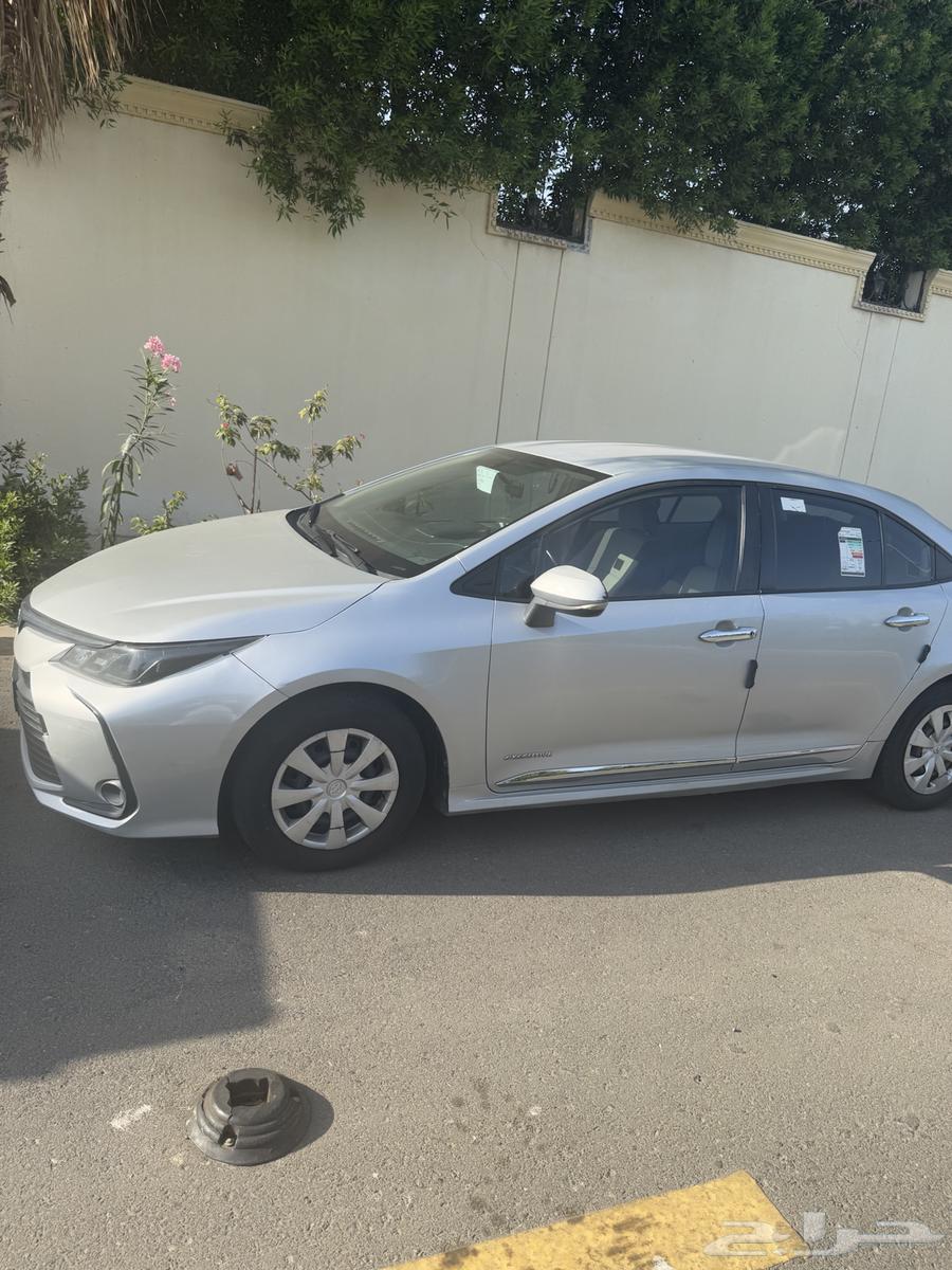 2020 اربعة سلندو 160064358410867459112