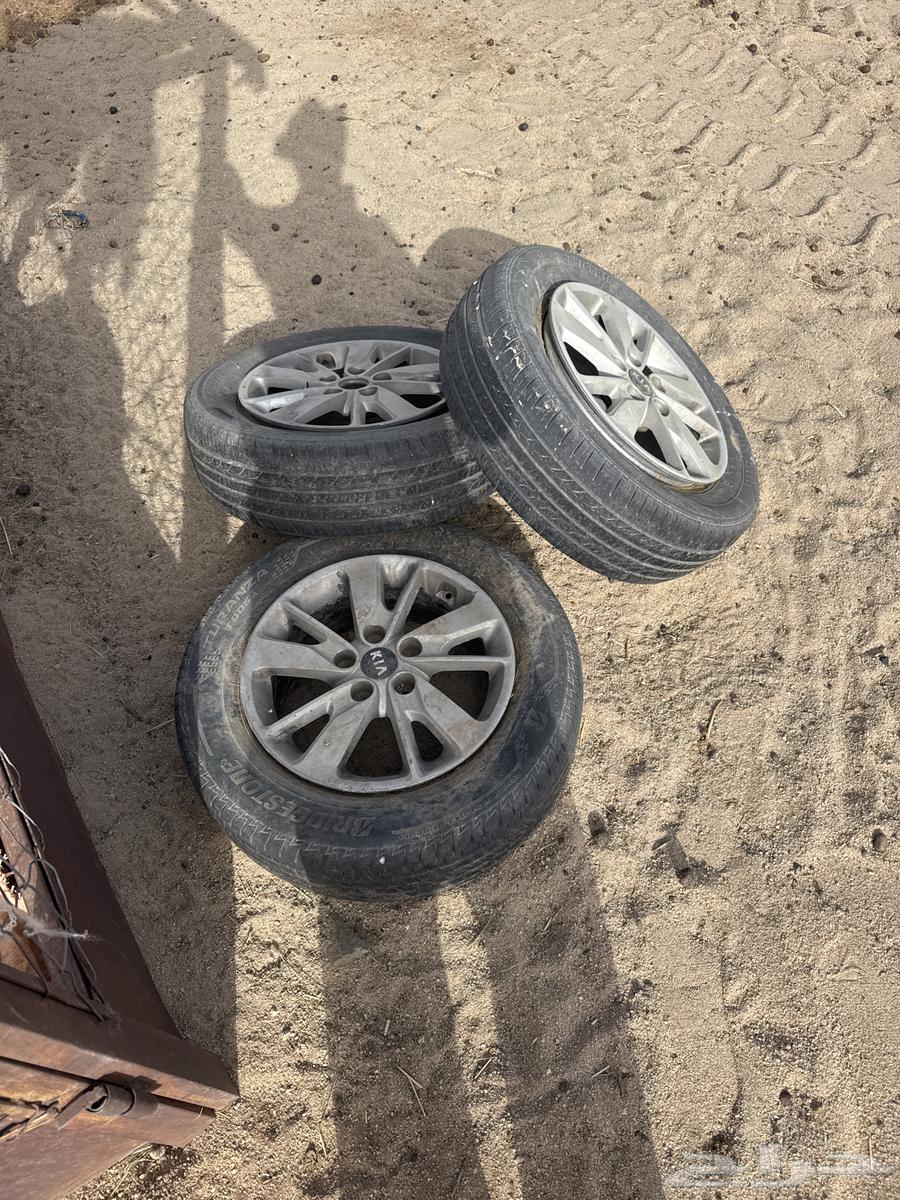 جنوط كيا ابتما64353543526146110