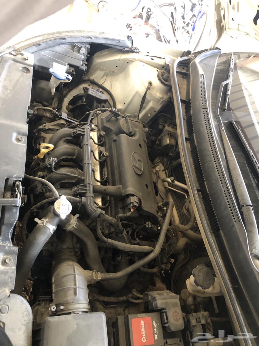 Accent 201764355216594433114