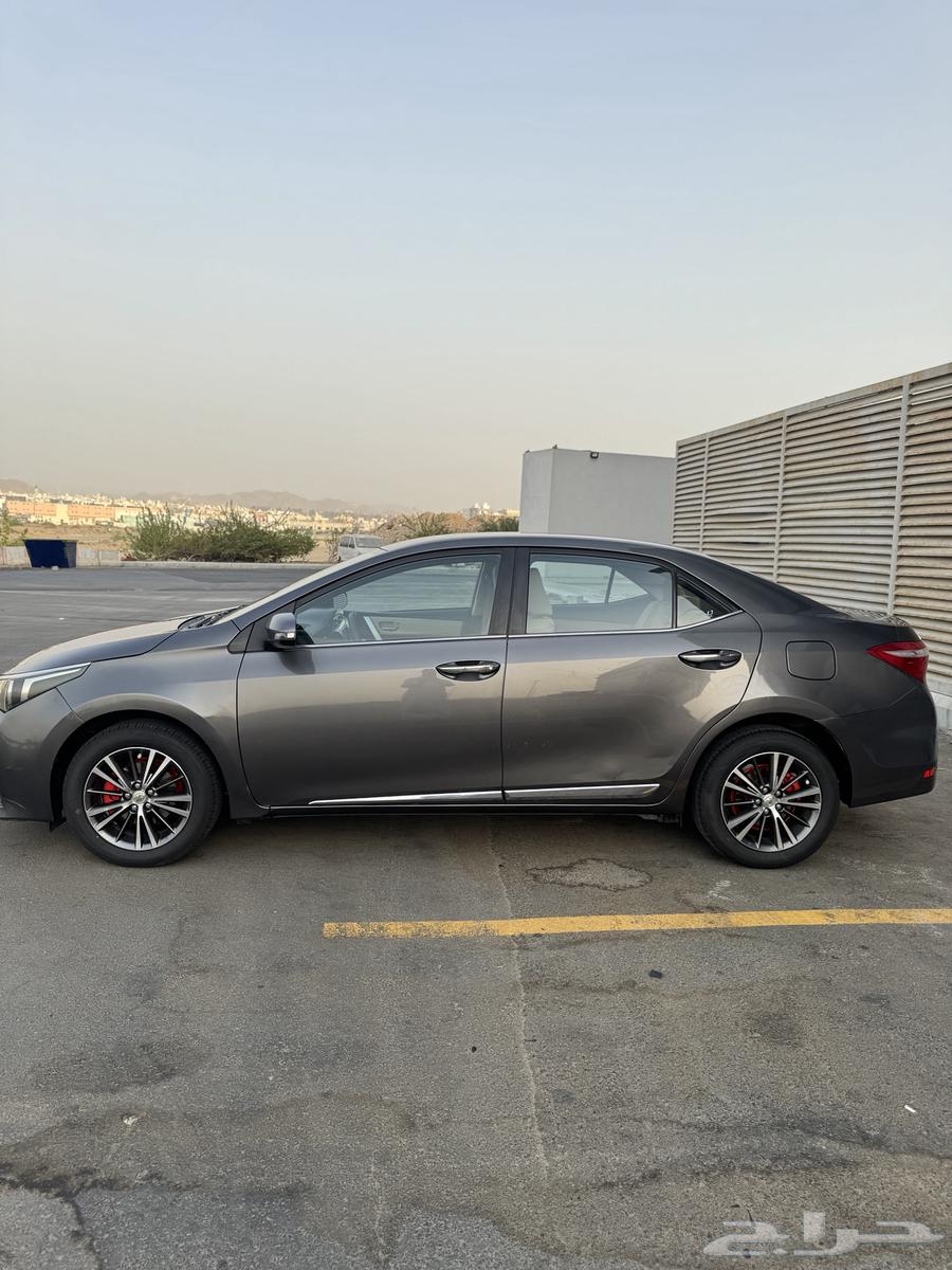 كورلا 2015 ( بودي بلد )64351531808770112