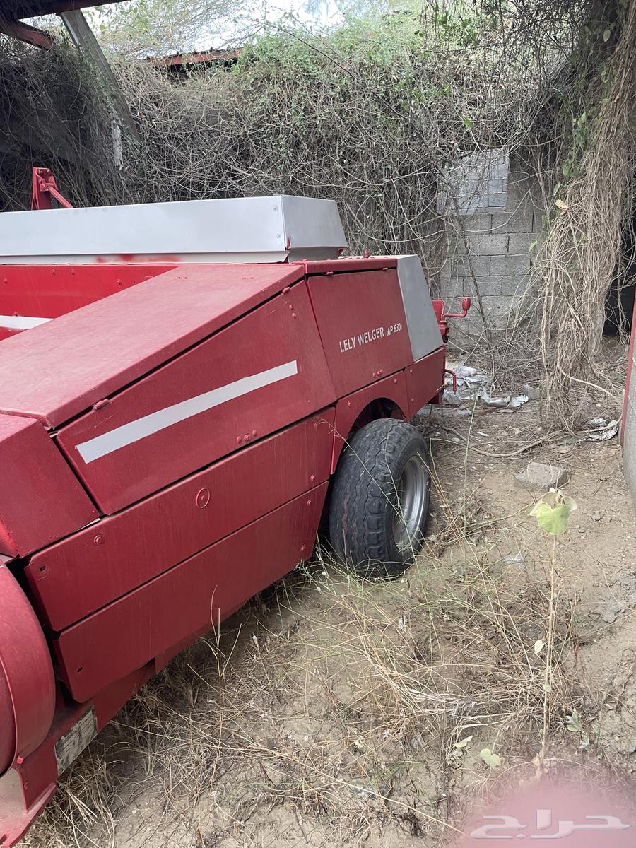 لبانه ويلجر63064346414042114112