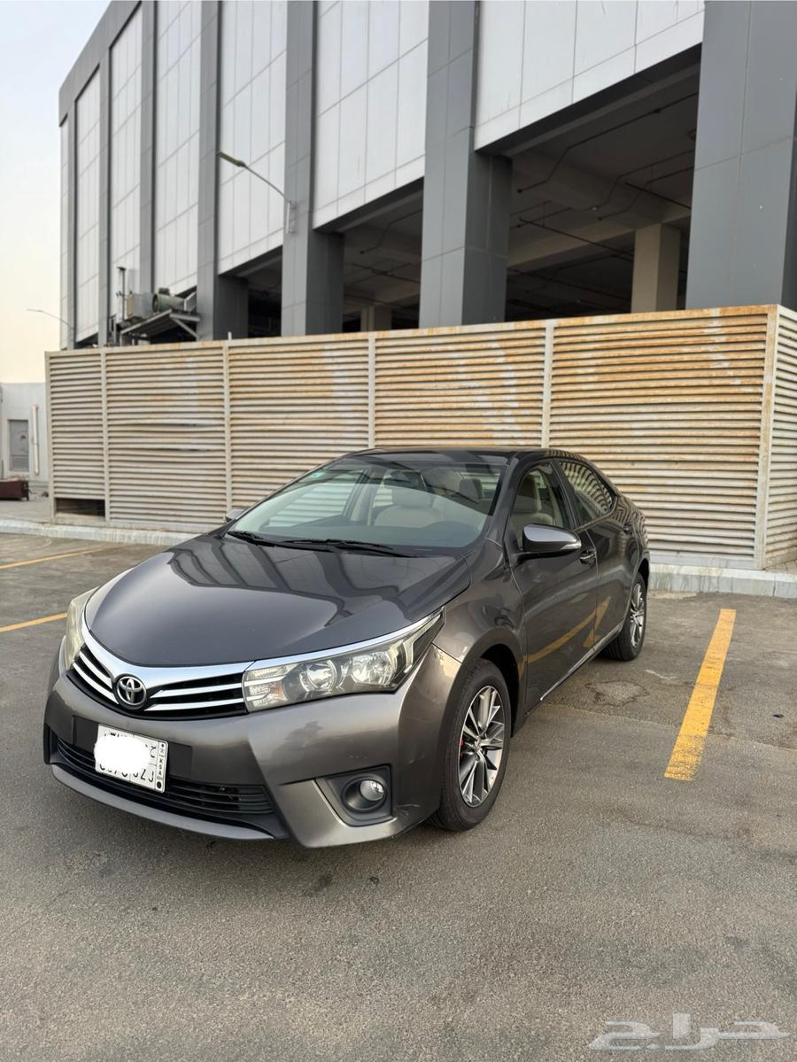 كورلا 2015 ( بودي بلد )64351531808770110