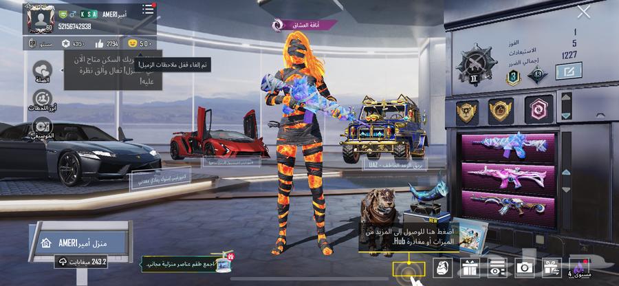 حساب ببجي للبيع64116415050243110