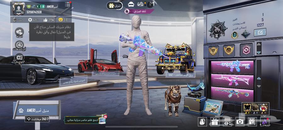 حساب ببجي للبيع64116415050243111