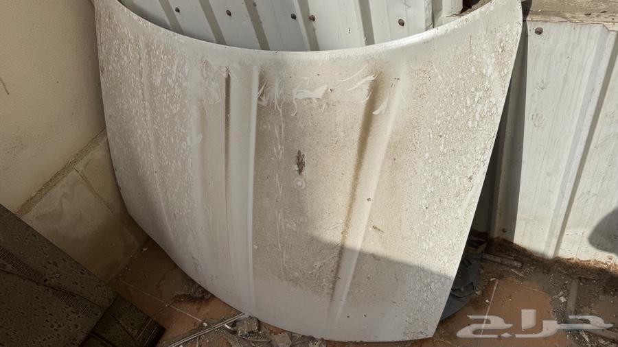 كبوت وشبك دوج64354769351042112