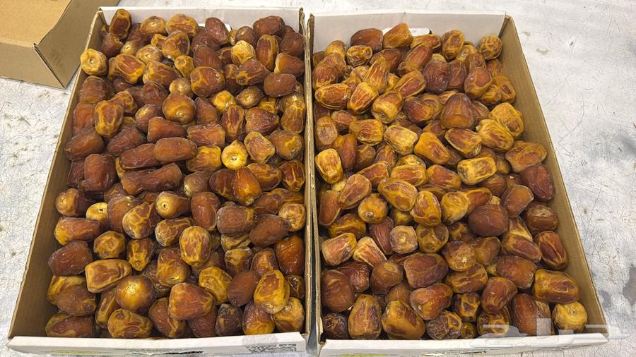 Luxury Galaxy Dates in Al-Jubail Industrial and Al-Jubail City64119747439746110