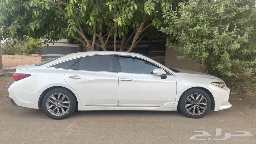 Avalon 2020 Tornq Mashia 129 only comes with the complete set64340583175809112