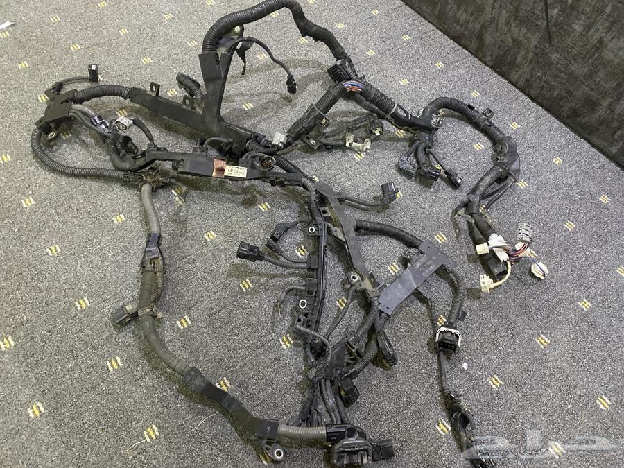 New Camry Braid 202464352336001538111