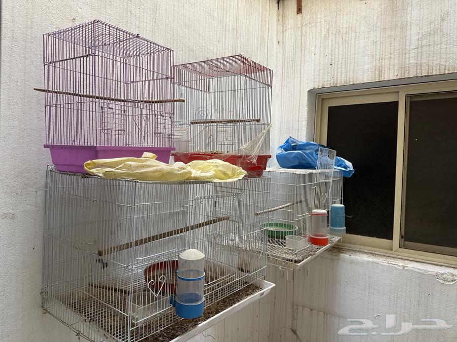 For sale 601 cages64106363589763110