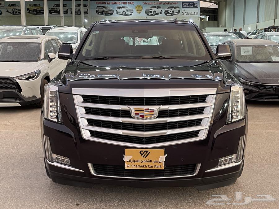 تم البيع الله يبارك64355742445058114