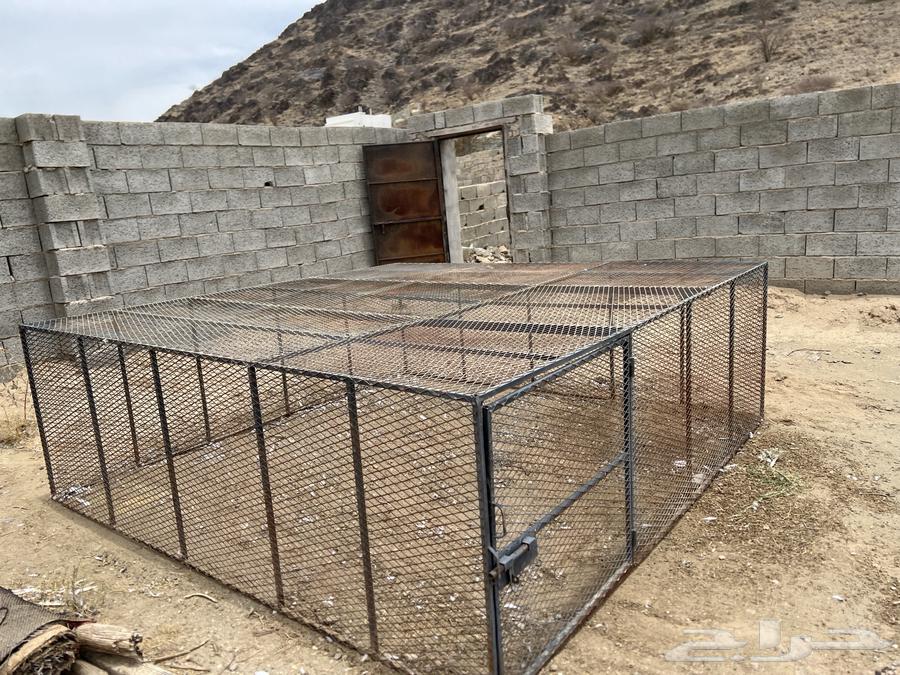 3x3 honeycomb net for sale, 1 meter high64350778547841110