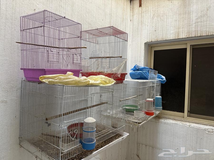For sale 601 cages64106363589763111