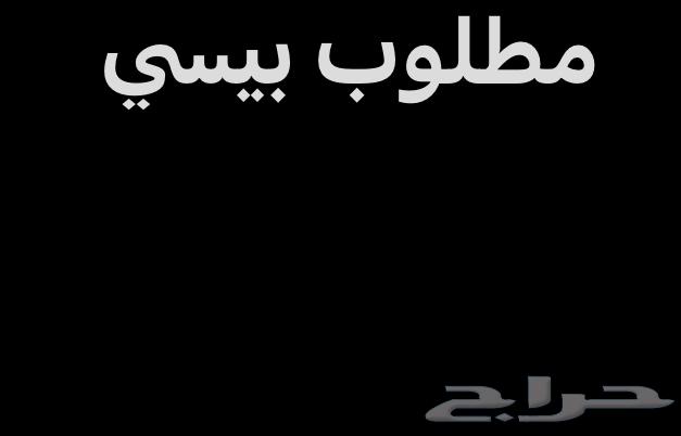 مطلوب بيسي64117435053187110