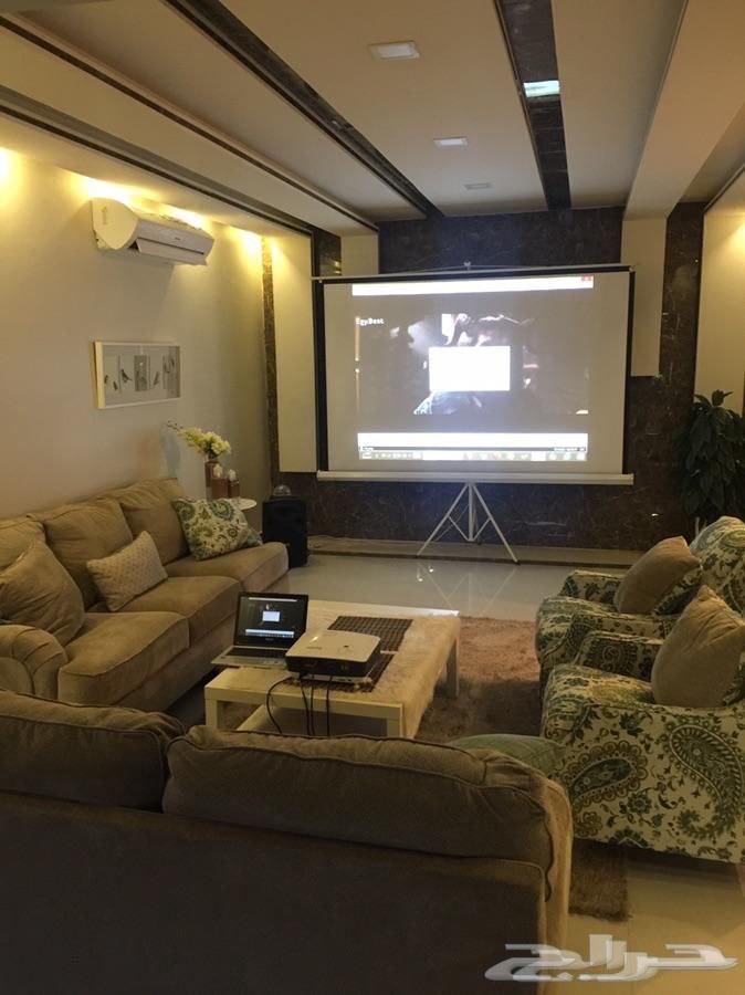 بروجكتر عالي الوضوح مع شاشة عرض وستاند للايجار64121062273411113