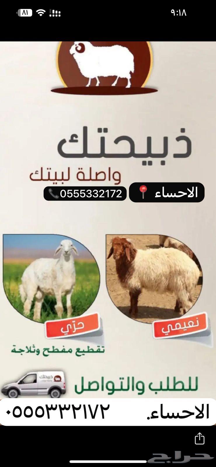 ذبائح نعيم  حري64120311195139110