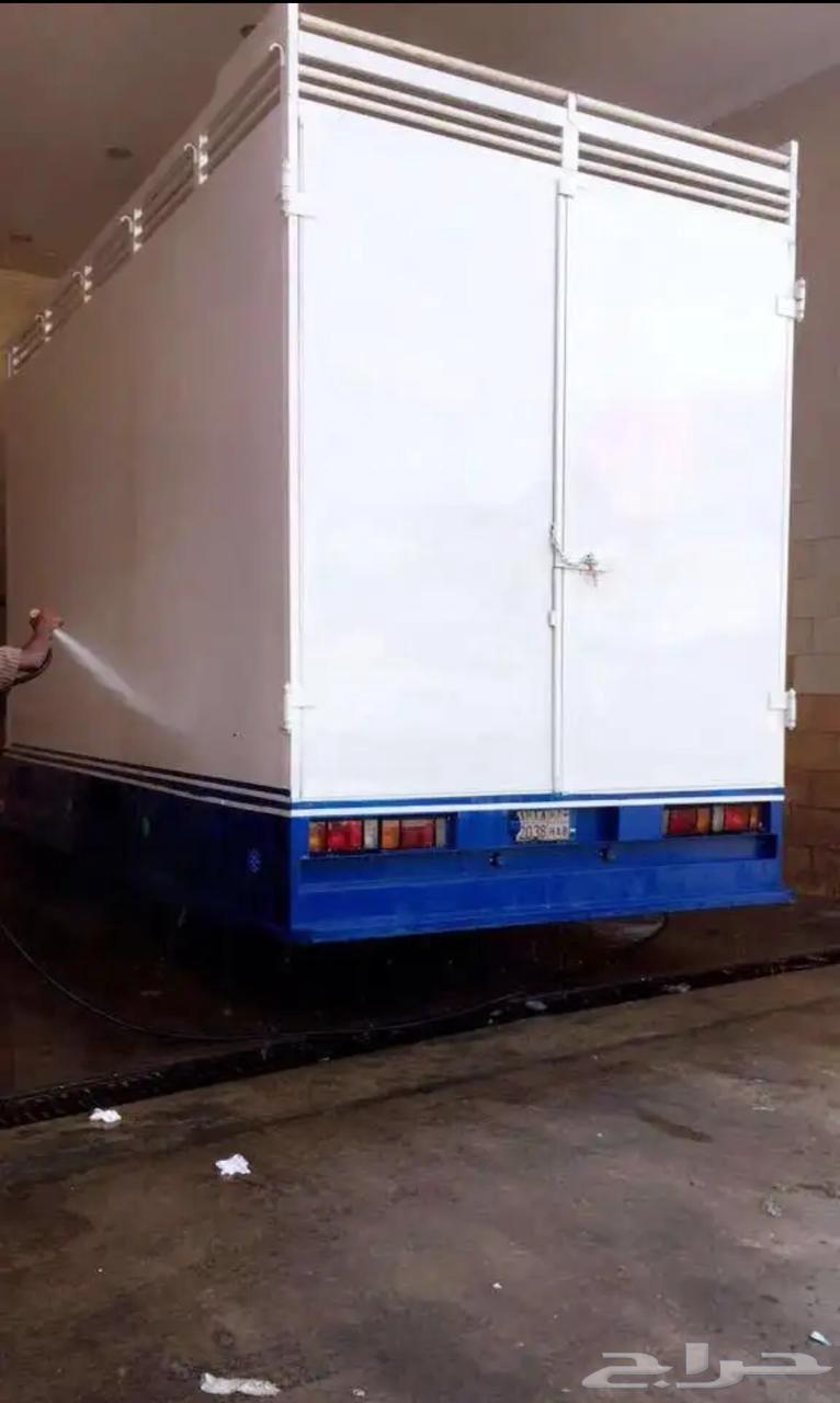 دينا اسيزو موديل 201564358785420163110