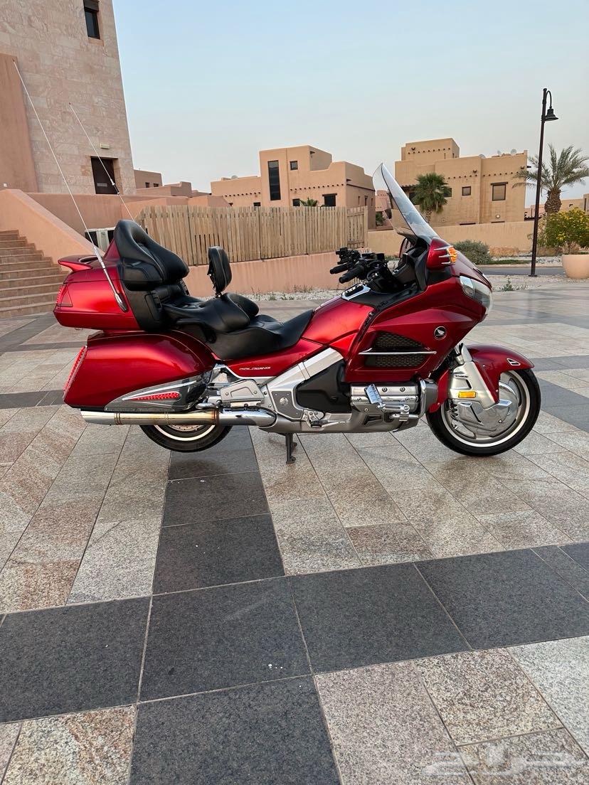 قولد وينق 2014 ليفل 364358425395842111