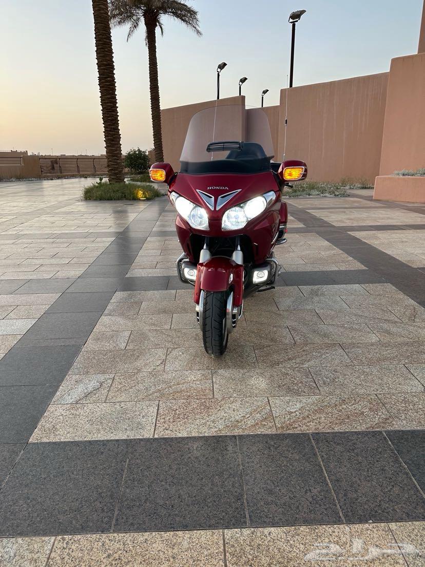 قولد وينق 2014 ليفل 364358425395842110