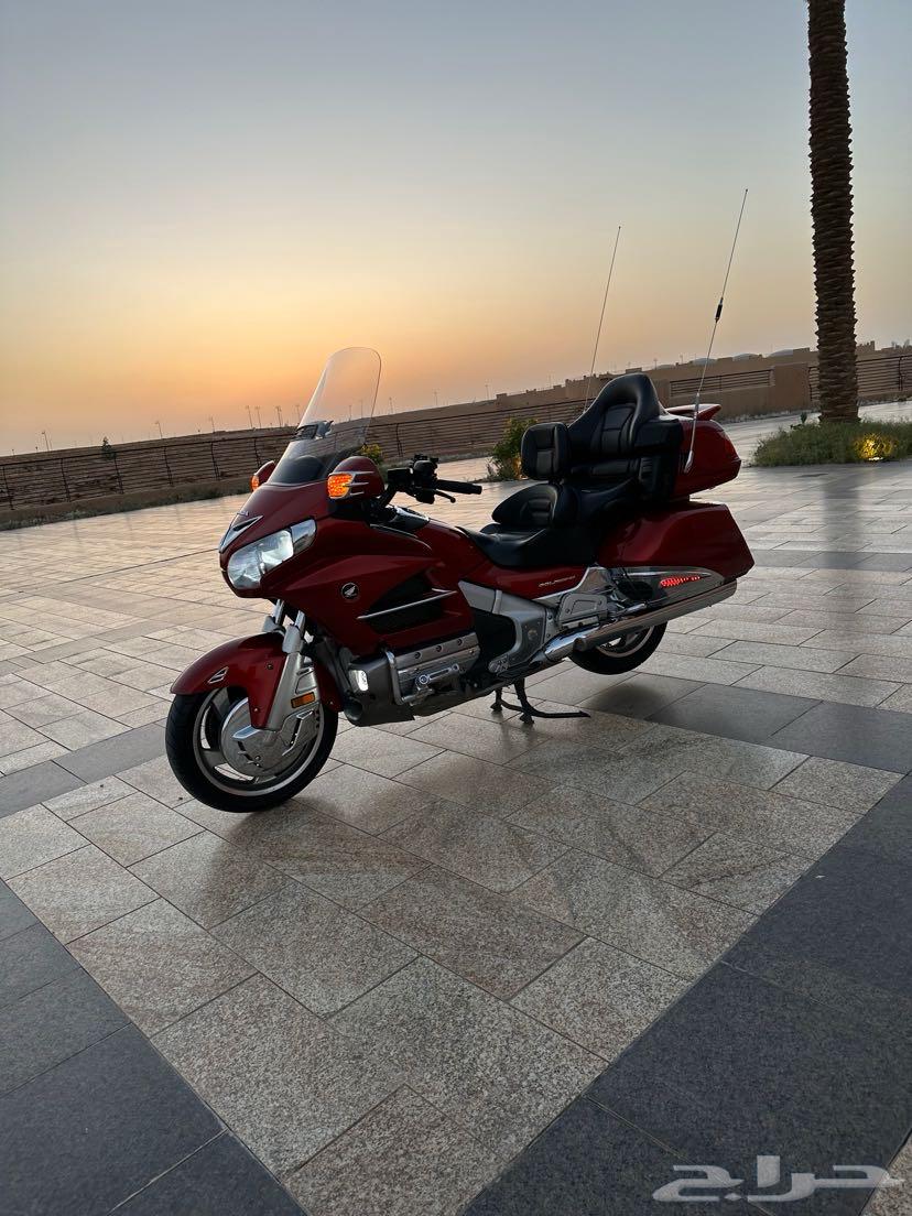 قولد وينق 2014 ليفل 364358425395842112