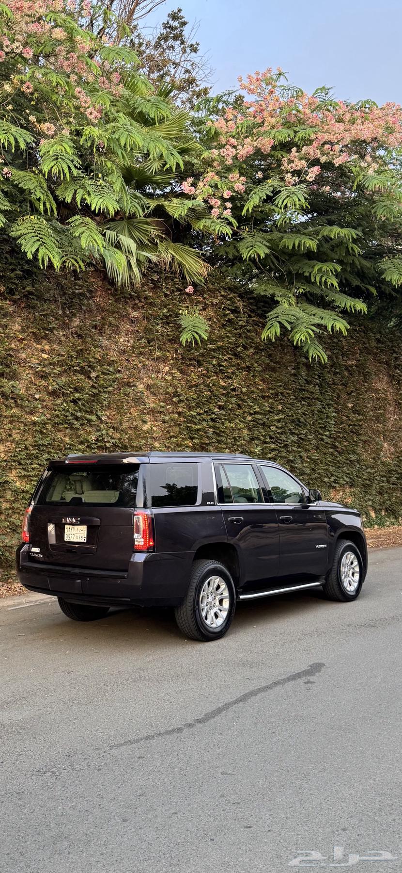 يوكن sle 2016 توكيلات بدون دبل64347851720193114