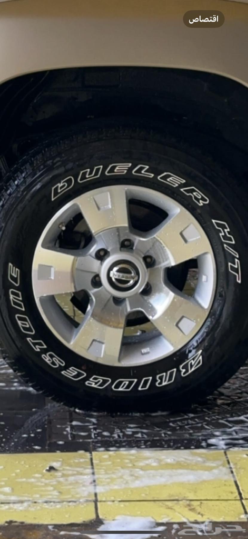 للبيع جنوط فتك اصلي وكالة 1764351381588611110