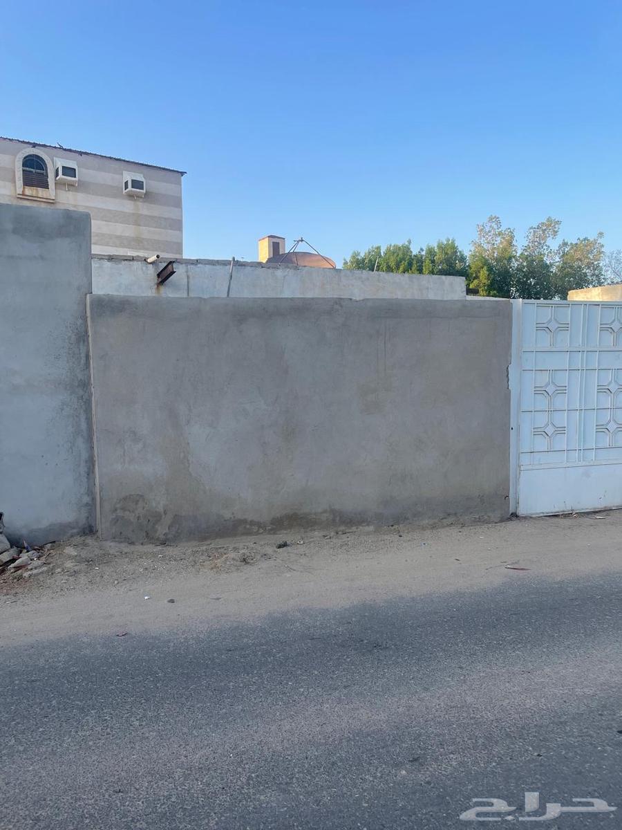 بيت شعبي بصك63613310476290113