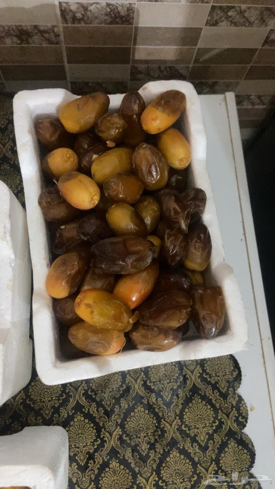Safri dates for sale64141927197826110